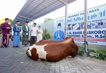 Ibas Kurban 1 Ekor Sapi di Pacitan: Semoga Bawa Keberkahan