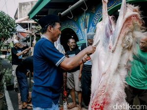 5 Hikmah Kurban di Idul Adha 5 Hikmah Kurban di Idul Adha