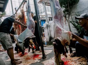 Kenapa Banyak yang Sakit Kepala Saat Kurban? Ini 3 Penyebab Tak Terduga