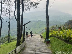 Rekomendasi Kafe Estetik di Trawas dan Pacet, Pemandangan Alam
