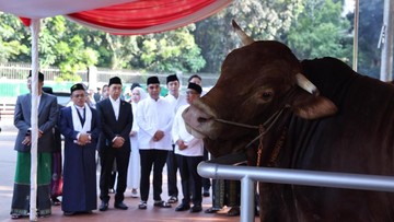 APPSI Apresiasi Prabowo Beli 985 Sapi untuk Kurban Idul Adha