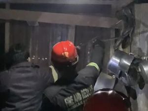Momen Menegangkan Evakuasi Ular King Cobra 2,5 Meter di Kantin SMKN 2 Palopo Momen Menegangkan Evakuasi Ular King Cobra 2,5 Meter di Kantin SMKN 2 Palopo