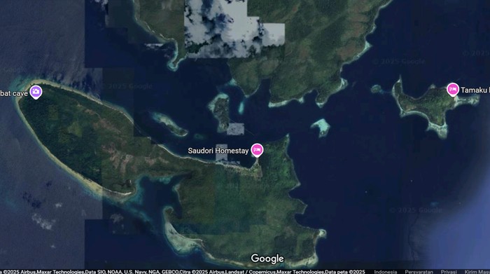Foto Satelit Kerusakan Raja Ampat alasannya yaitu Tambang Nikel