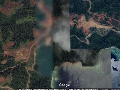 Izin 4 Tambang Raja Ampat Dicabut, Ini Wujudnya di Google Maps