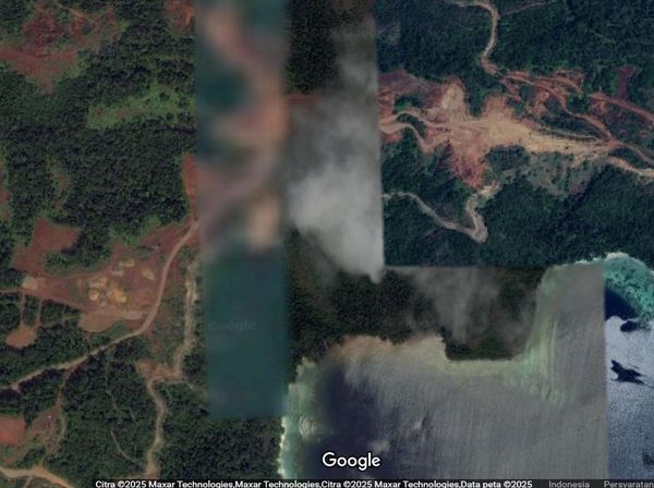 Izin 4 Tambang Raja Ampat Dicabut, Ini Wujudnya di Google Maps