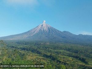 Gunung Semeru 5 Kali Erupsi Sabtu Pagi, Tinggi Letusan hingga 900 M Gunung Semeru 5 Kali Erupsi Sabtu Pagi, Tinggi Letusan hingga 900 M