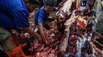 Ini yang Terjadi Jika Daging Kurban Disimpan Pakai Metode Plasma Dingin