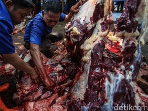 Ini yang Terjadi Jika Daging Kurban Disimpan Pakai Metode Plasma Dingin Ini yang Terjadi Jika Daging Kurban Disimpan Pakai Metode Plasma Dingin