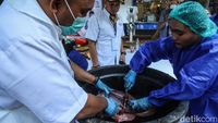 Kurban Disembelih, Daging Dicek Sebelum Dibagikan