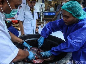 Kurban Disembelih, Daging Dicek Sebelum Dibagikan
