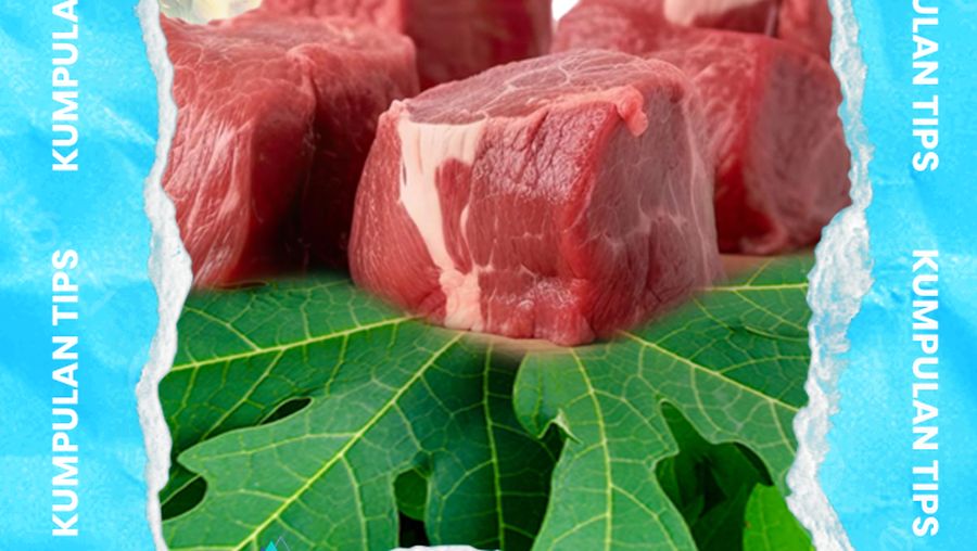 Video KuTips: 2 Rekomendasi Bahan Pengempuk Daging