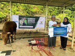 PNM Gandeng BAZNAS Salurkan Hewan Kurban ke Masyarakat di Wilayah 3T