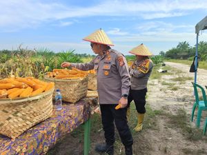 Produksi Jagung RI Diprediksi Melimpah