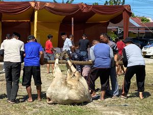 Polresta Pekanbaru Potong 18 Hewan Kurban, Langsung Disalurkan ke Warga