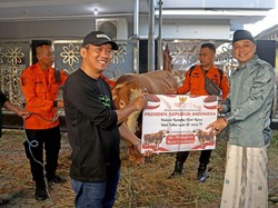Wali Kota Eri Salurkan Sapi Kurban Presiden ke Masjid Al-Muhajirin