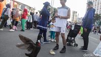 Agak Laen, Warga Bawa Bebek ke CFD Depok