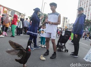 Agak Laen, Warga Bawa Bebek ke CFD Depok Agak Laen, Warga Bawa Bebek ke CFD Depok
