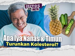 Mitos Fakta: Makan Nanas dan Timun Bantu Turunkan Kolesterol saat Idul Adha