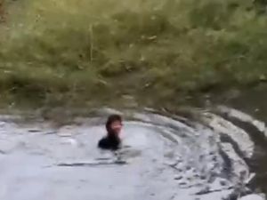 Polisi Gerebek Arena Sabung Ayam di Romapolong Gowa, Pelaku Lompat ke Danau Polisi Gerebek Arena Sabung Ayam di Romapolong Gowa, Pelaku Lompat ke Danau