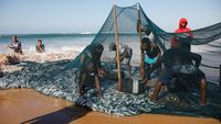 Potret Nelayan Serbu Pantai Saat Laut Durban Panen Sarden