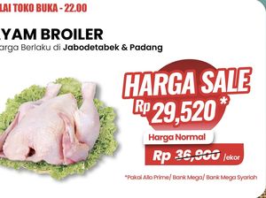 Buruan Belanja, Ayam Broiler Rp 26 Ribuan Per Ekor di Transmart Full Day Sale