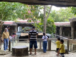 Cerita Warga Asal Semarang Pertama Kalinya Main ke Semarang Zoo Cerita Warga Asal Semarang Pertama Kalinya Main ke Semarang Zoo