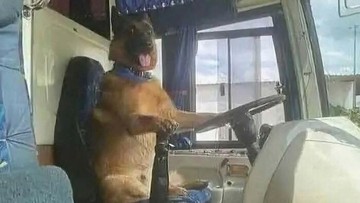 Ada Saja Kelakuan Konyol orang-orang di Internet, Cek Deh