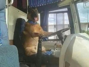 Ada Saja Kelakuan Konyol orang-orang di Internet, Cek Deh Ada Saja Kelakuan Konyol orang-orang di Internet, Cek Deh