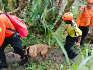 Proses Pencarian Lansia Hilang di Karangasem Dihentikan, Keluarga Pilih Upacara Adat Proses Pencarian Lansia Hilang di Karangasem Dihentikan, Keluarga Pilih Upacara Adat
