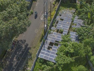 Aduh! PLTS di Ternate Rusak hingga Dipenuhi Tanaman Liar