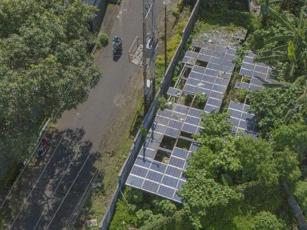 Aduh! PLTS di Ternate Rusak hingga Dipenuhi Tanaman Liar