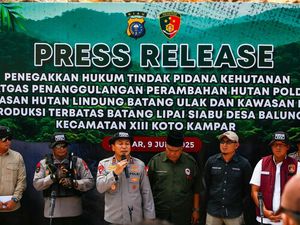 Polda Riau Bongkar Kasus Perambahan Hutan Lindung, 4 Tersangka Dijerat Polda Riau Bongkar Kasus Perambahan Hutan Lindung, 4 Tersangka Dijerat
