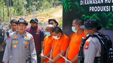 Peran 4 Tersangka Perambahan Hutan Lindung di Riau, Ada Ketua Adat