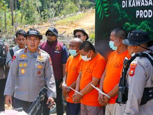 Peran 4 Tersangka Perambahan Hutan Lindung di Riau, Ada Ketua Adat Peran 4 Tersangka Perambahan Hutan Lindung di Riau, Ada Ketua Adat