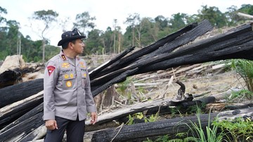 Kapolda Riau Soal Perambahan Hutan Lindung Siabu: Ini Adalah Ekosida