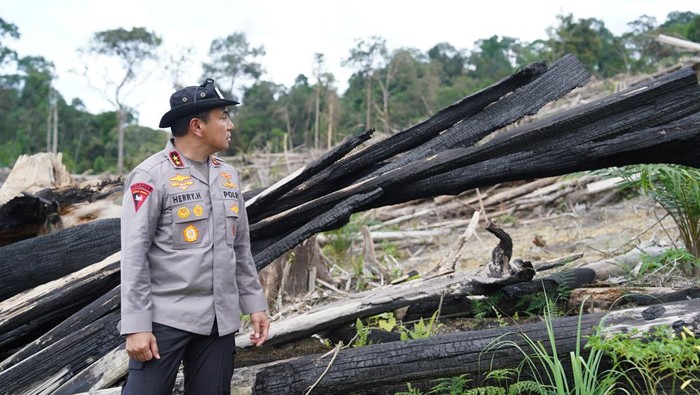 Polda Riau membongkar permasalahan perambahan hutan di HPT Hutan Lindung Si Abu, Kabupaten Kampar. Polda Riau membongkar permasalahan perambahan hutan di HPT Hutan Lindung Si Abu, Kabupaten Kampar.