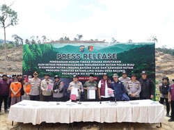 Polda Riau: Tersangka Merambah Hutan Lindung Siabu untuk Lahan Sawit