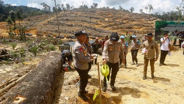 Polda Riau Lakukan Reboisasi di Lahan Hutan Lindung yang Dirusak Perambah
