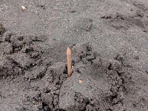 Wisatawan-Pelaku Usaha Bromo Minta Pelaku Teror Ranjau Paku Diusut Wisatawan-Pelaku Usaha Bromo Minta Pelaku Teror Ranjau Paku Diusut