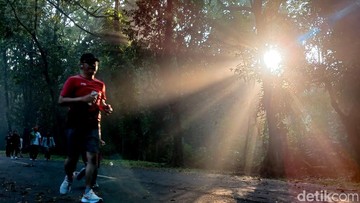 Rimbun dan Adem, Kampus UI Jadi Spot Favorit Lari di Pinggir Jakarta
