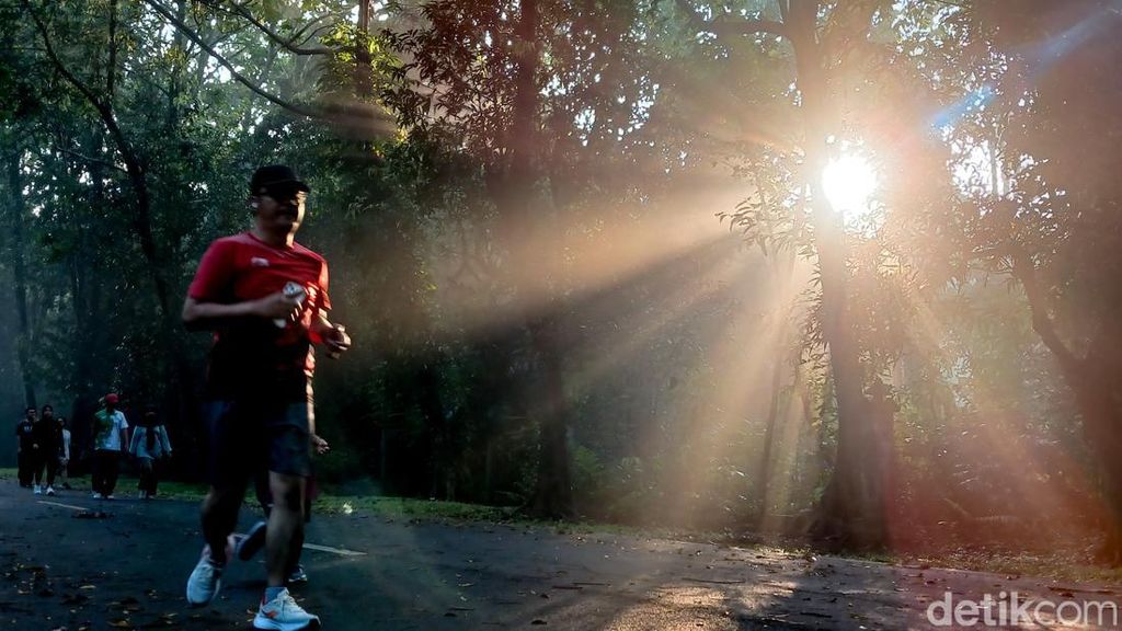 Rimbun dan Adem, Kampus UI Jadi Spot Favorit Lari di Pinggir Jakarta Rimbun dan Adem, Kampus UI Jadi Spot Favorit Lari di Pinggir Jakarta