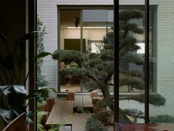 Manfaat Punya Taman Minimalis di Area Tengah Rumah dan Tips Bikinnya