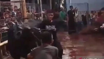 Sapi Kurban Ngamuk di Jaktim, Lukai 3 Orang hingga Rusak Motor Warga
