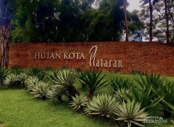 Menikmati Indahnya Hamparan Hutan Kota GBK