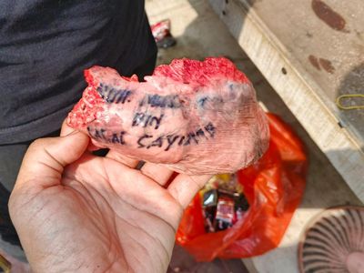 Melihat dari Dekat Paru Sapi Kurban yang Viral Bertuliskan Nama Orang