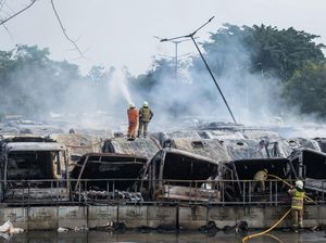 Kadishub Sebut Puluhan Bus Terbakar di Jakbar Sudah Bukan Aset TransJ Kadishub Sebut Puluhan Bus Terbakar di Jakbar Sudah Bukan Aset TransJ