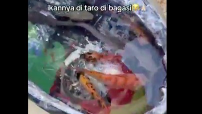 Kreatif! Yamaha Gear 125 Jadi Tempat Mancing Keliling