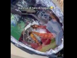 Kreatif! Yamaha Gear 125 Jadi Tempat Mancing Keliling