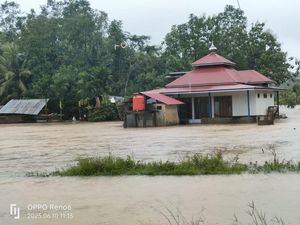 Video Banjir-Longsor Terjang Sejumlah Lokasi di Mentawai