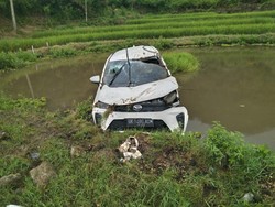 Mobil Terbalik-Masuk Sawah Usai Tergelincir di Toba